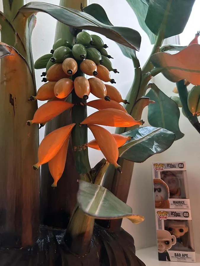 Guest house Monkey Tree Stay Schiedam Netherlands